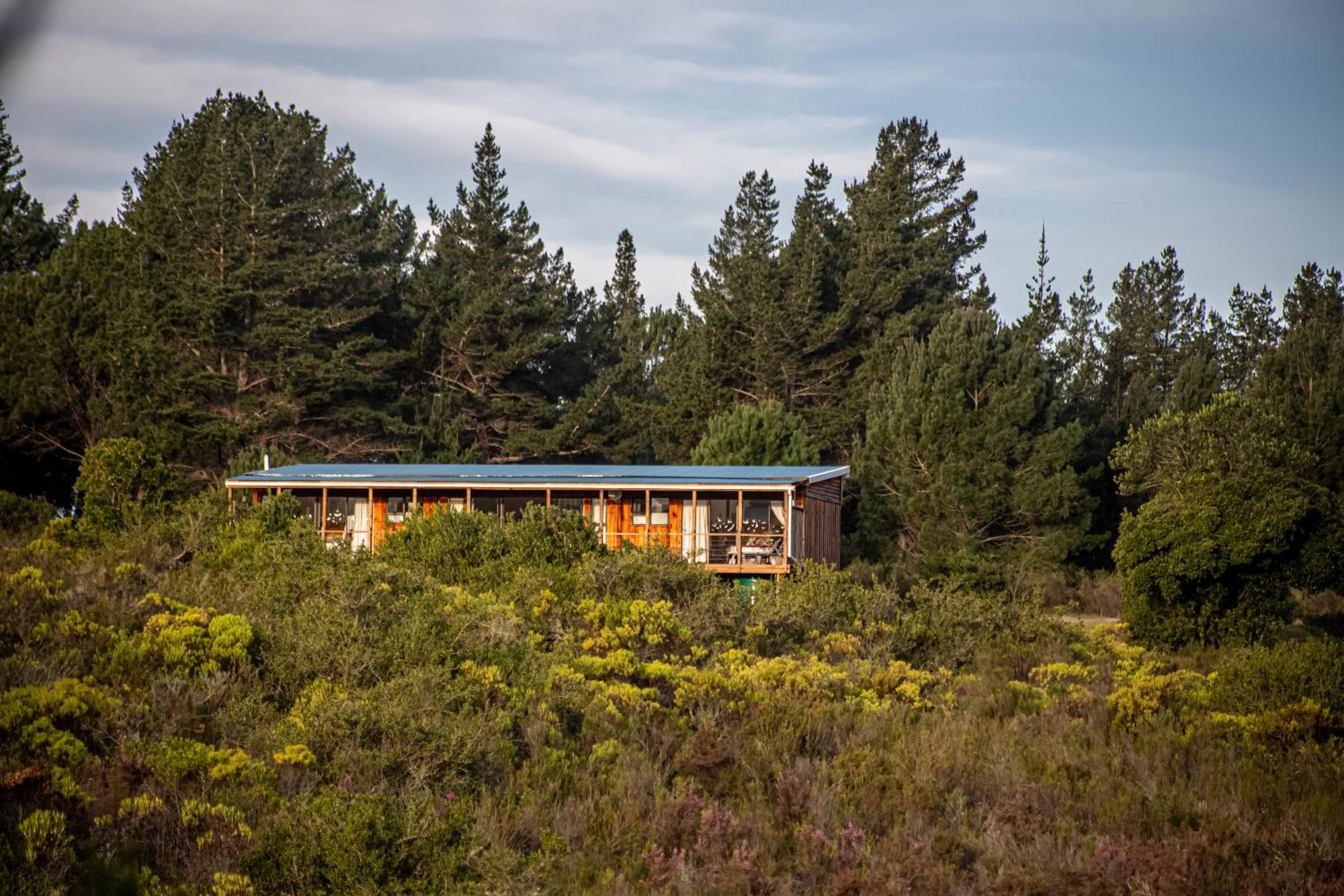 Готель Equleni Guest Farm Седжфілд Екстер'єр фото